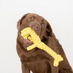 Εικόνα της Παιχνίδι Greta Giraffe Rope - Dog Yellow 18x4x40 cm