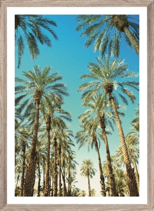 Εικόνα της Brookpace Lascelles - Art Print Beverly Hills Palms Με Ξύλινη Κορνίζα