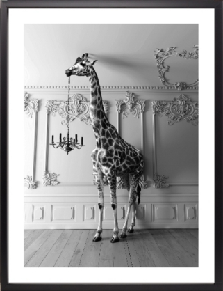 Εικόνα της Brookpace Lascelles - Art Print Giraffe In The Room Με Κορνίζα Black Box